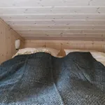 In With Sauna *