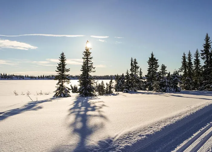 In With Sauna Ferienhaus *