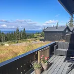 In With Sauna *