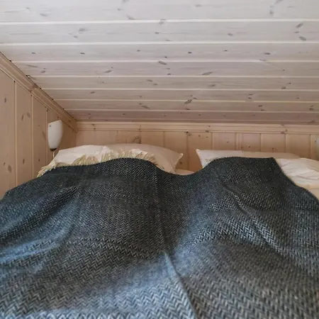 In With Sauna *